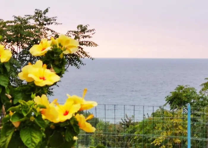 Casa de Férias La Casita Capo Vaticano